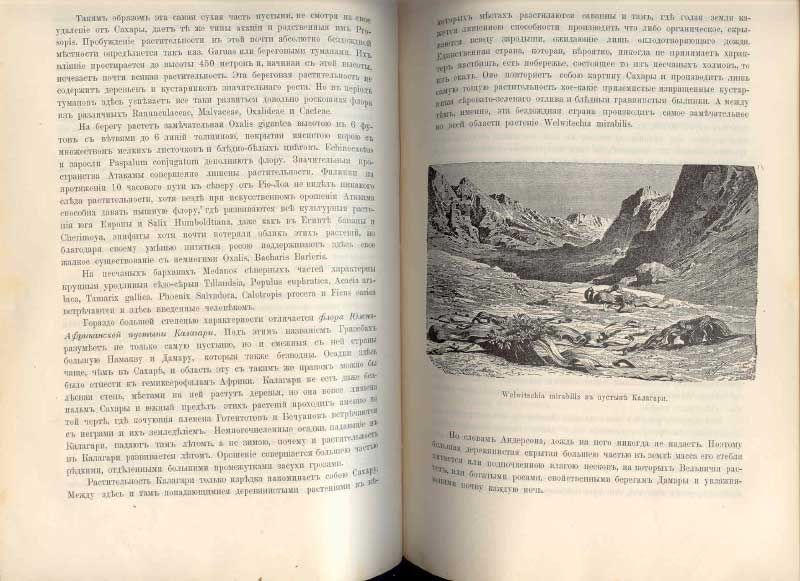 Краснов А.Н., проф. Основы землеведения. В 4-х выпусках. Вып.4. География растений. Законы распределения растений и описание растительности земного шара 1899