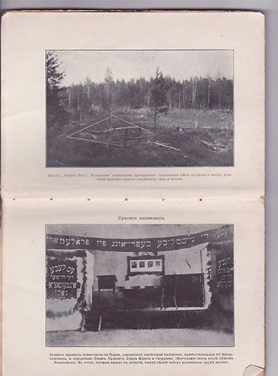 Вильтон Роберт Последние дни Романовых 1923